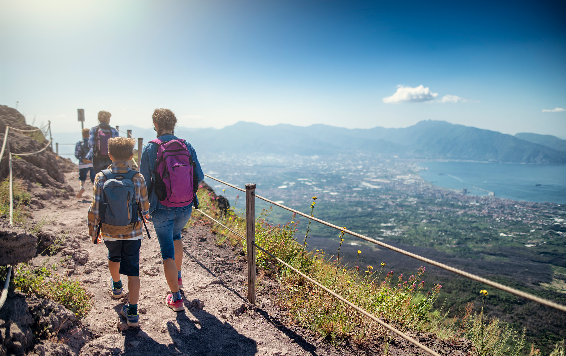 Tour del Vesuvio e degustazione di vino ai piedi del Vesuvio